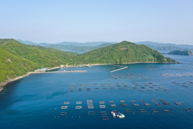 陸上養殖の法的規制：成長産業への参入方法